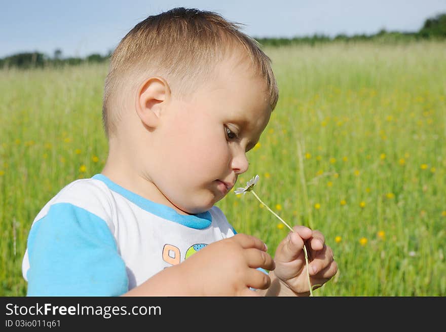 Little boy smelling marguerite