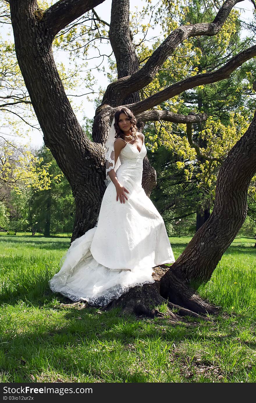 Beautiful young bride with bridal veil leaned against a tree in the park. Beautiful young bride with bridal veil leaned against a tree in the park