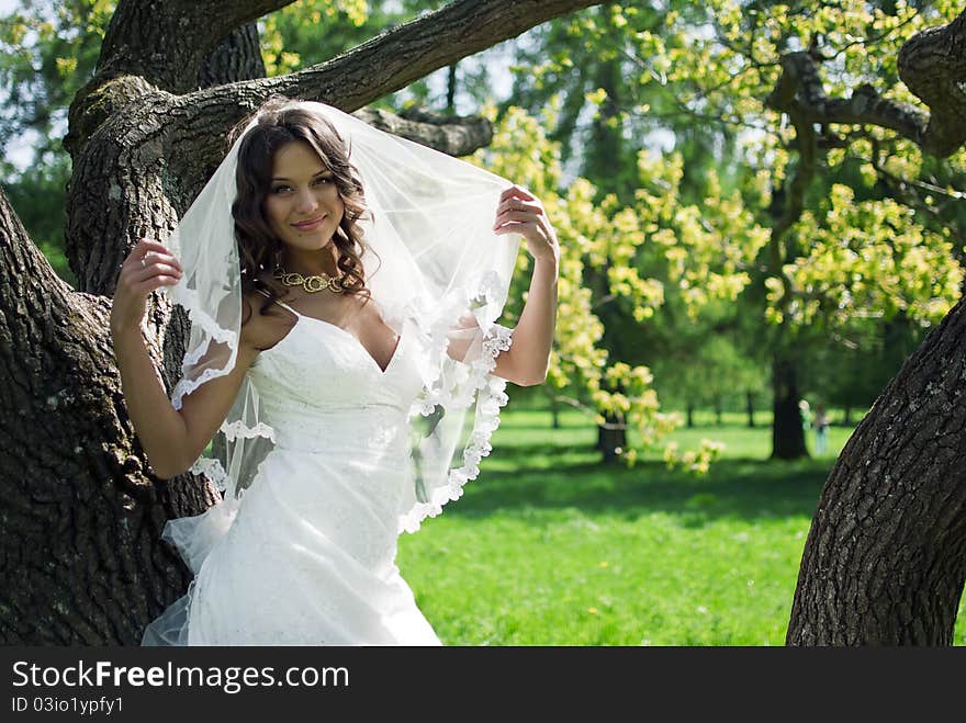 Attractive Bride Stands About Trees In The Park