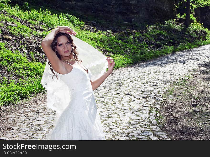 Attractive Bride With A Veil Poses On The Road