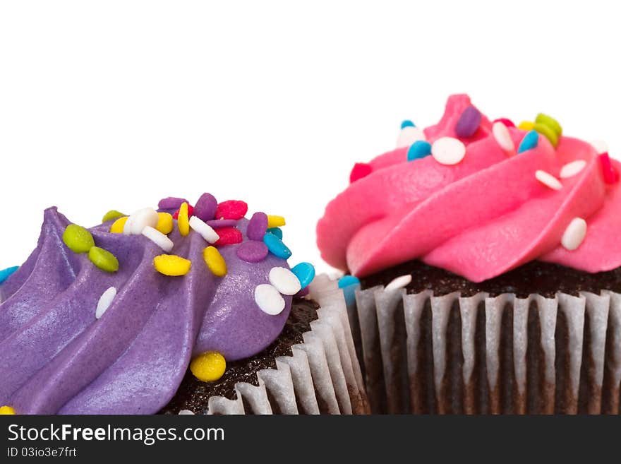 Cupcakes isolated on white background with text space