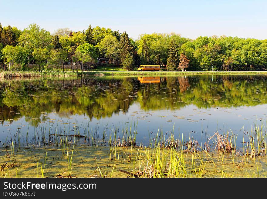 Summer landscape with reflection in the lake