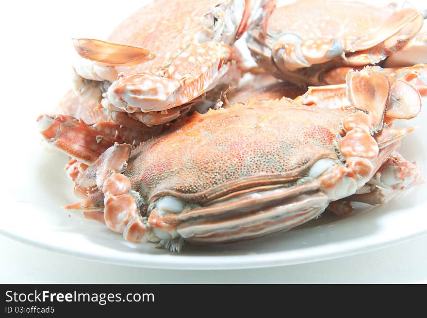 Cooked crab on a  plate in white background