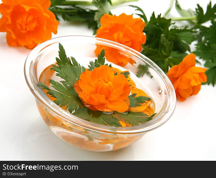 Floating flower on a white background