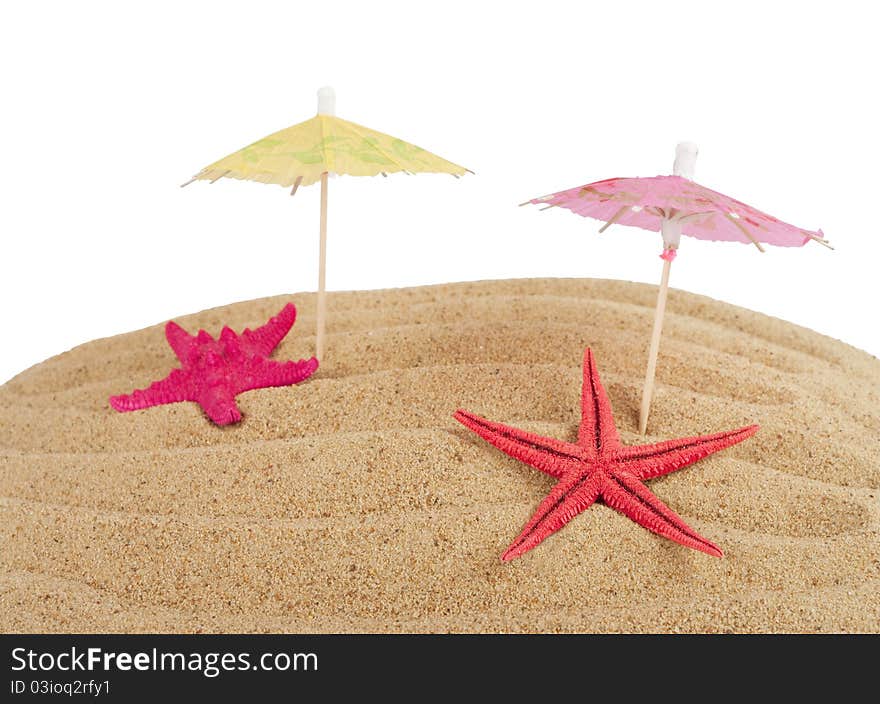 Starfish on the sand on a white background