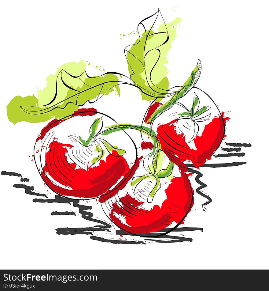 Illustration of colorful Tomato on white background