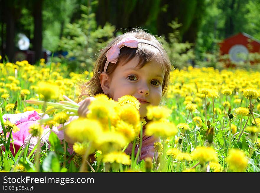 Girl in dandelions