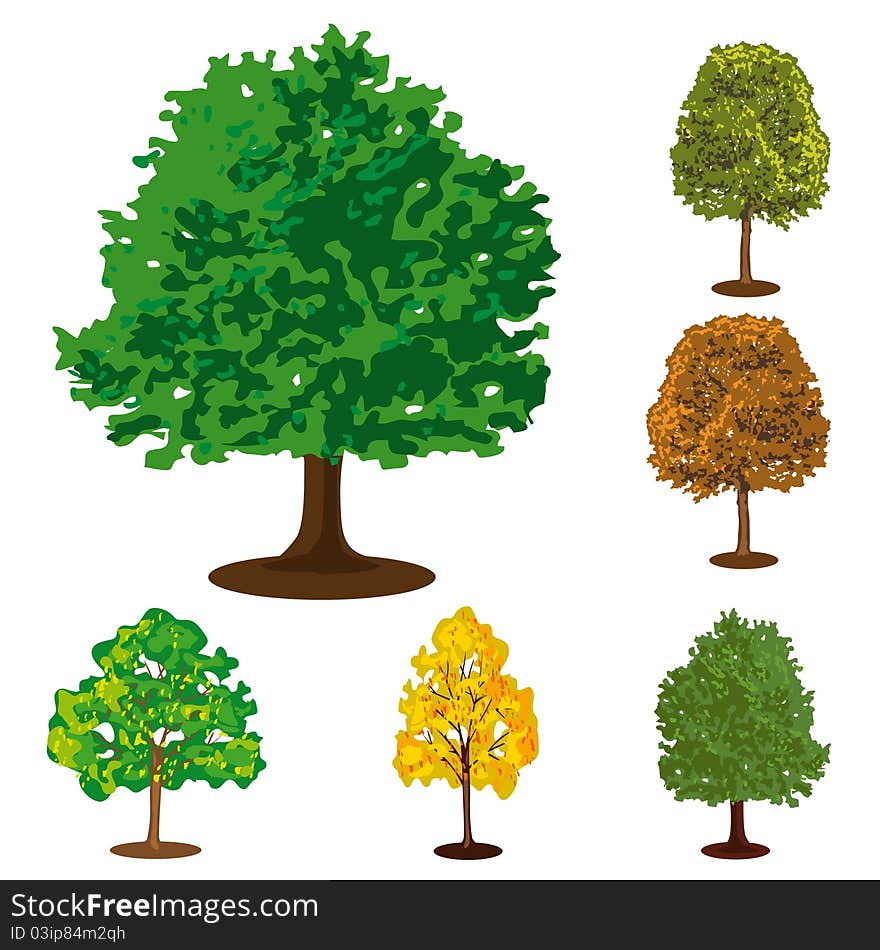 Set of six isolated trees. Set of six isolated trees