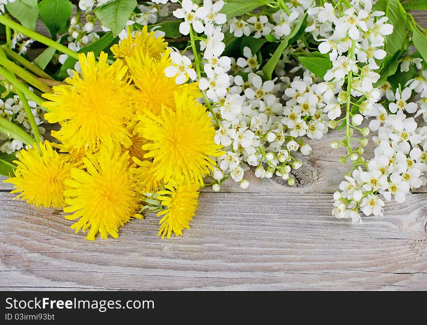 Bird Cherry Branch On Wooden Surface