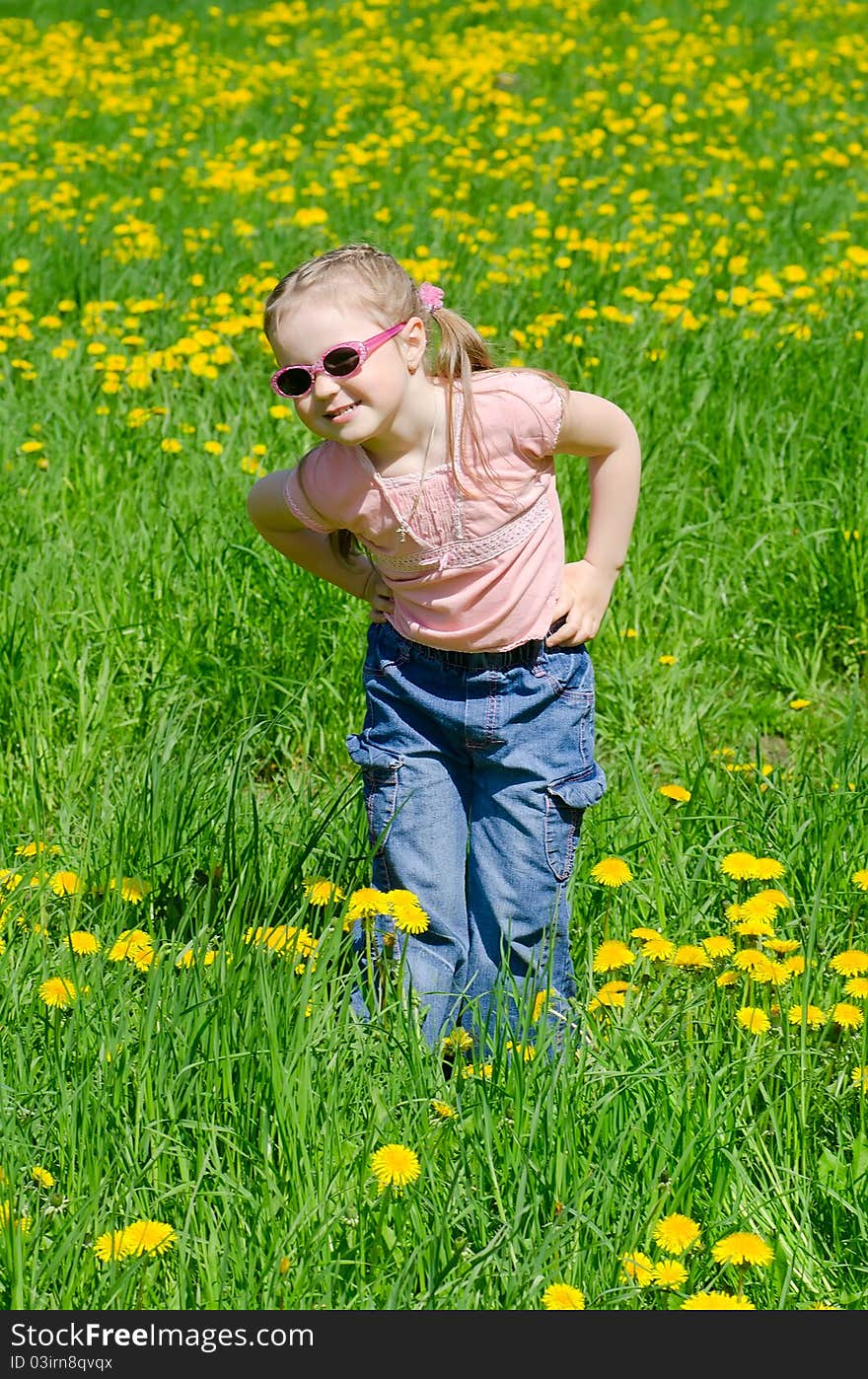 The little beautiful girl collects yellow dandelions. The little beautiful girl collects yellow dandelions