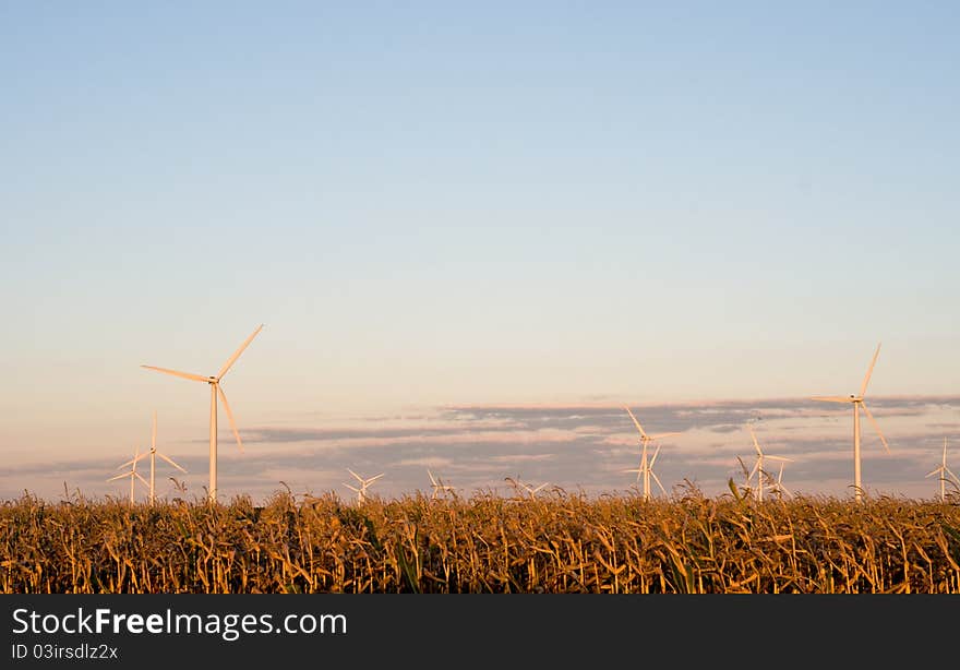 Wind turbine farm in Pigeon Michigan. Wind turbine farm in Pigeon Michigan