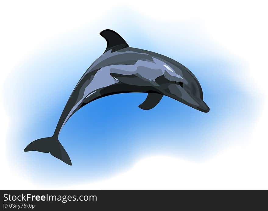 Jumping dolphins on light blue background