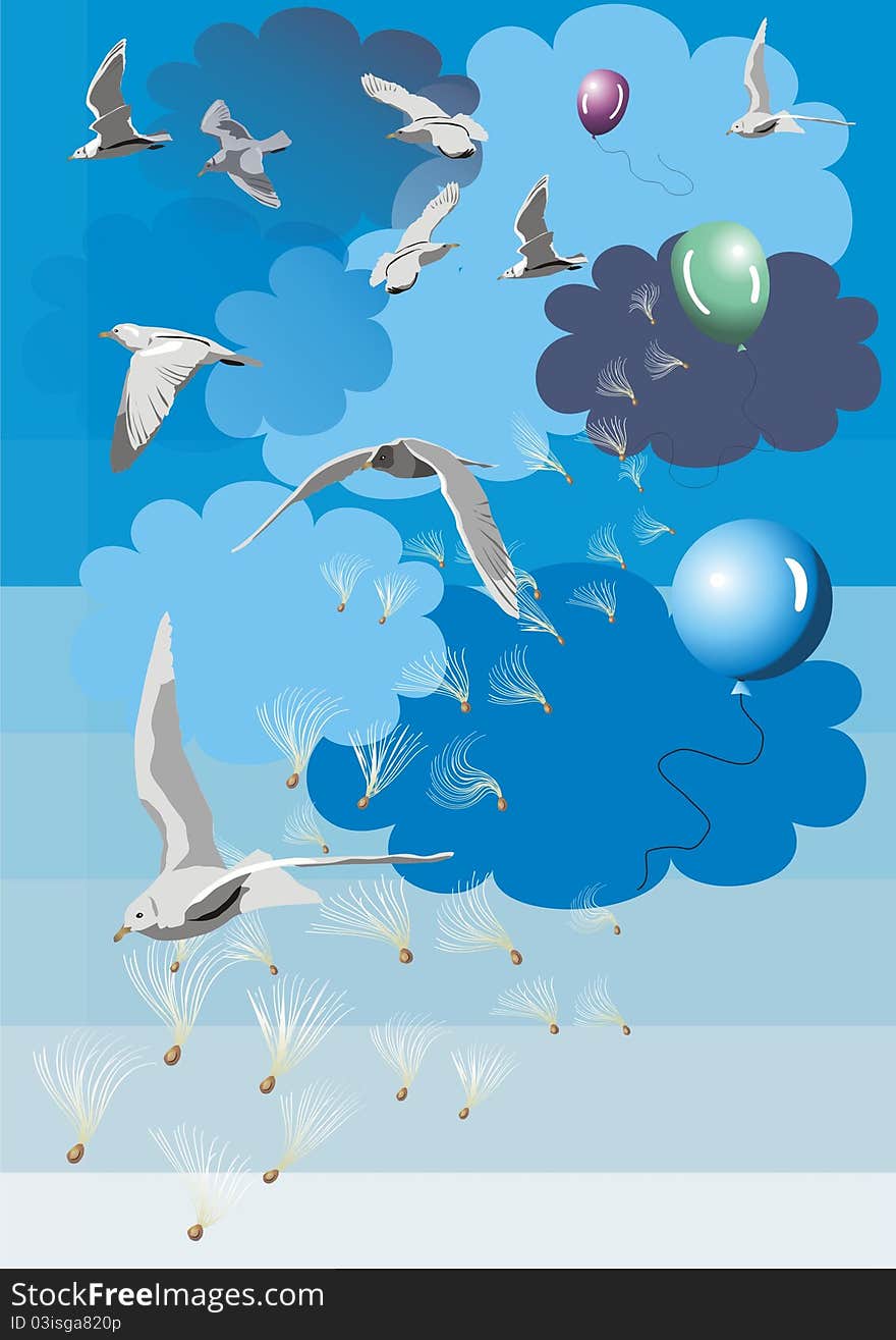 Birds and clouds