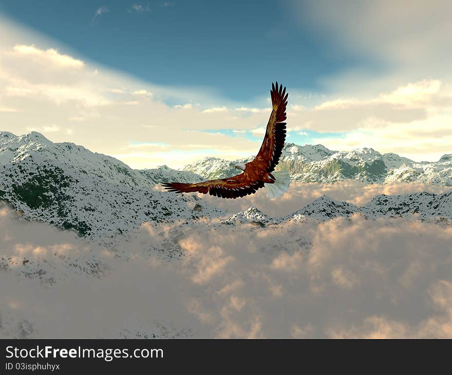 Eagle in the cold mountains