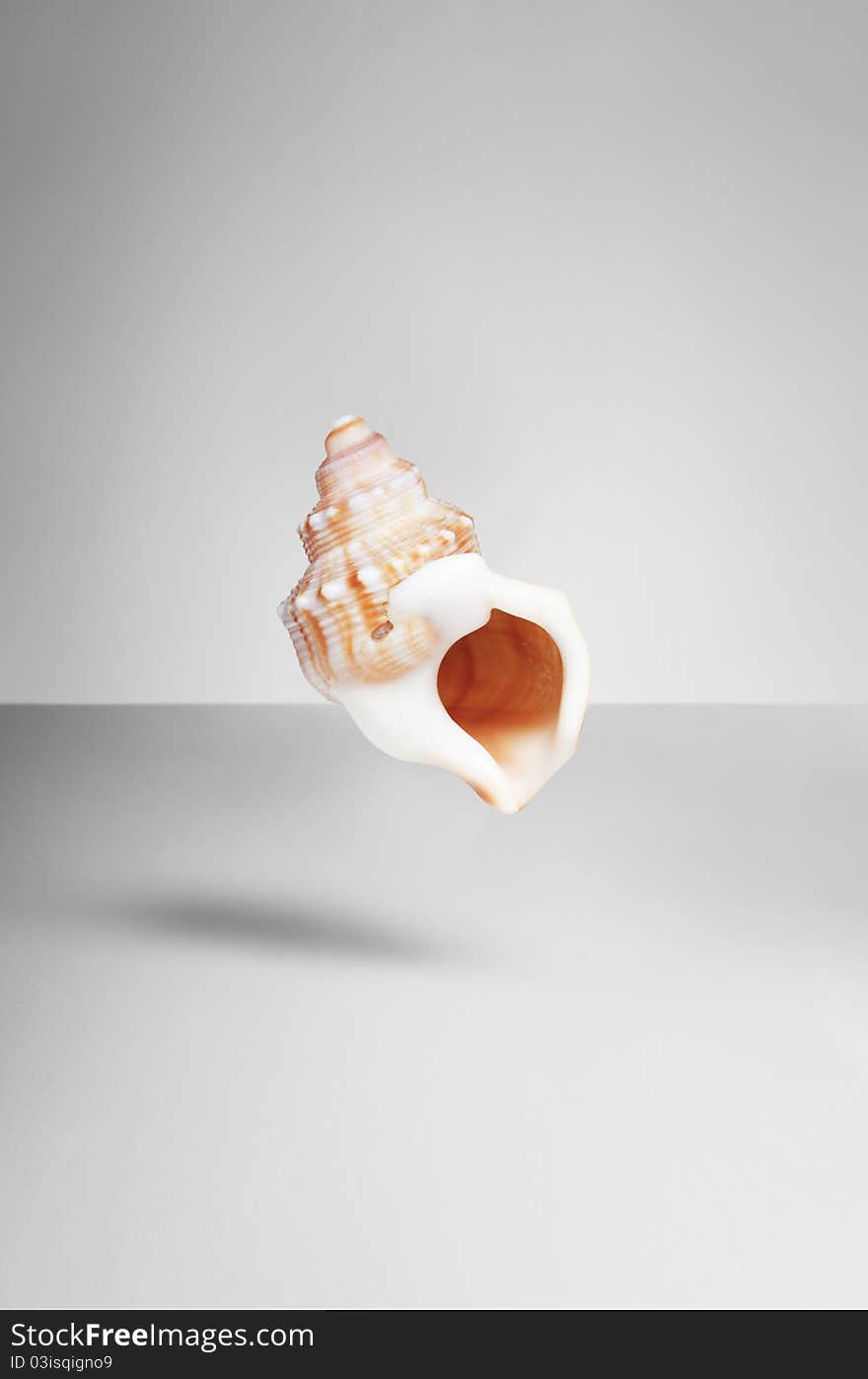 Photo of a shell in the air with a shadow. Photo of a shell in the air with a shadow