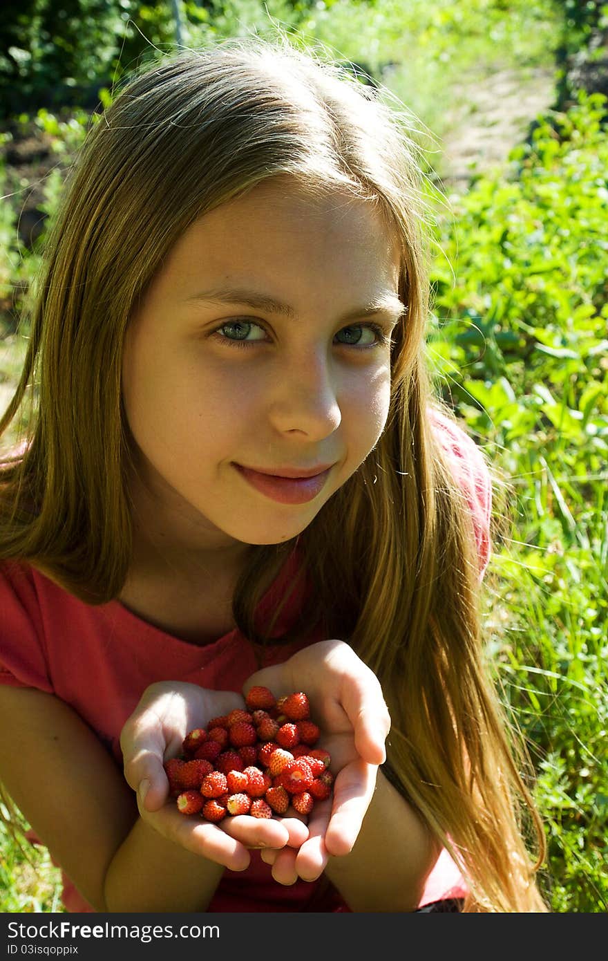 Girl with handful of wild strawberries. Girl with handful of wild strawberries