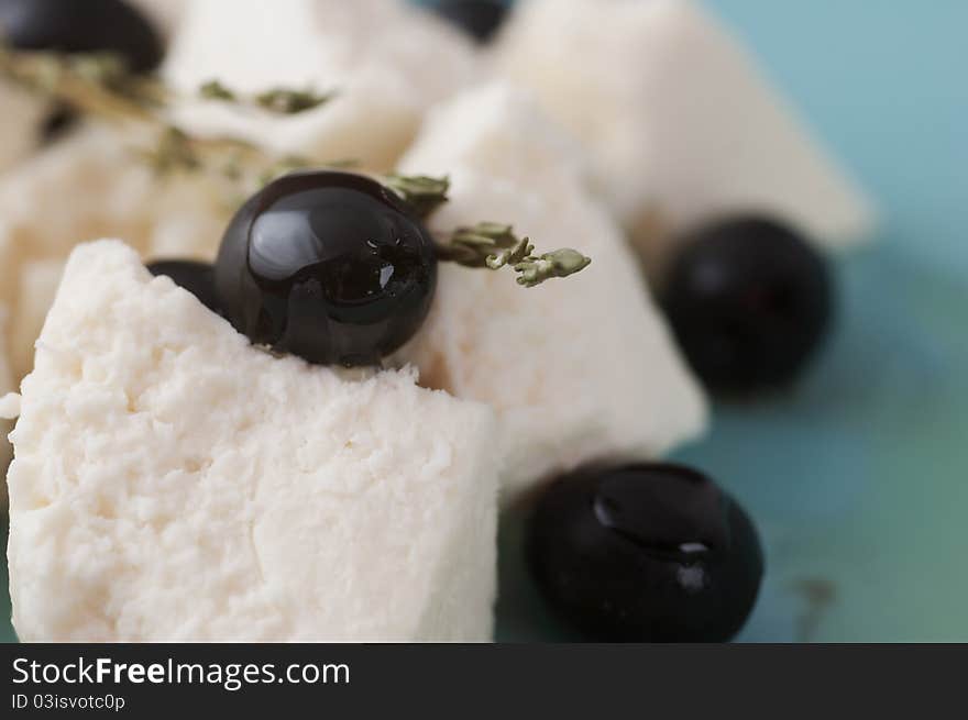 Cottage cheese and thyme twig on a plate. shallow DOFF