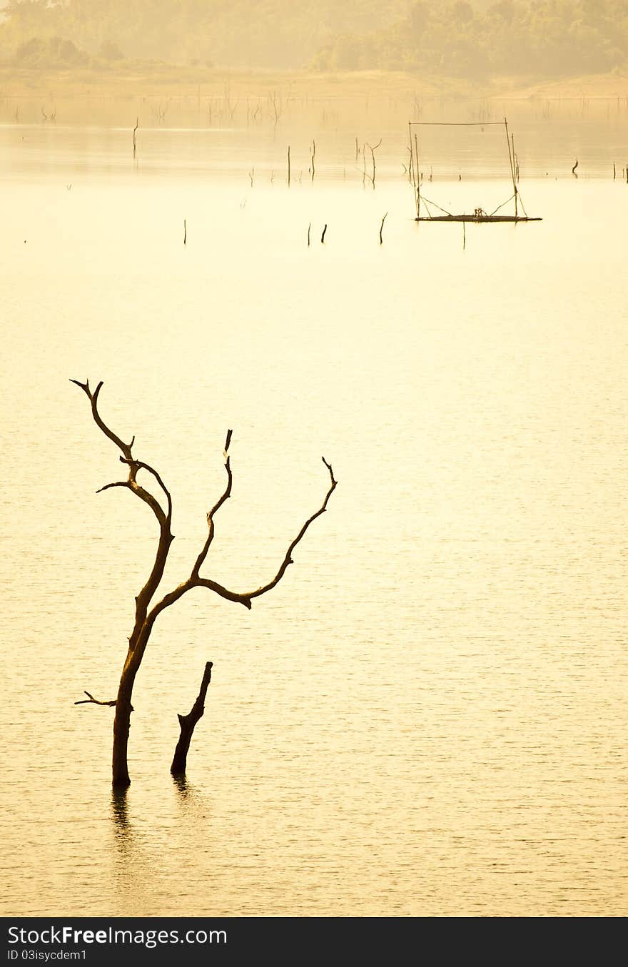 Stick In The Reservoir