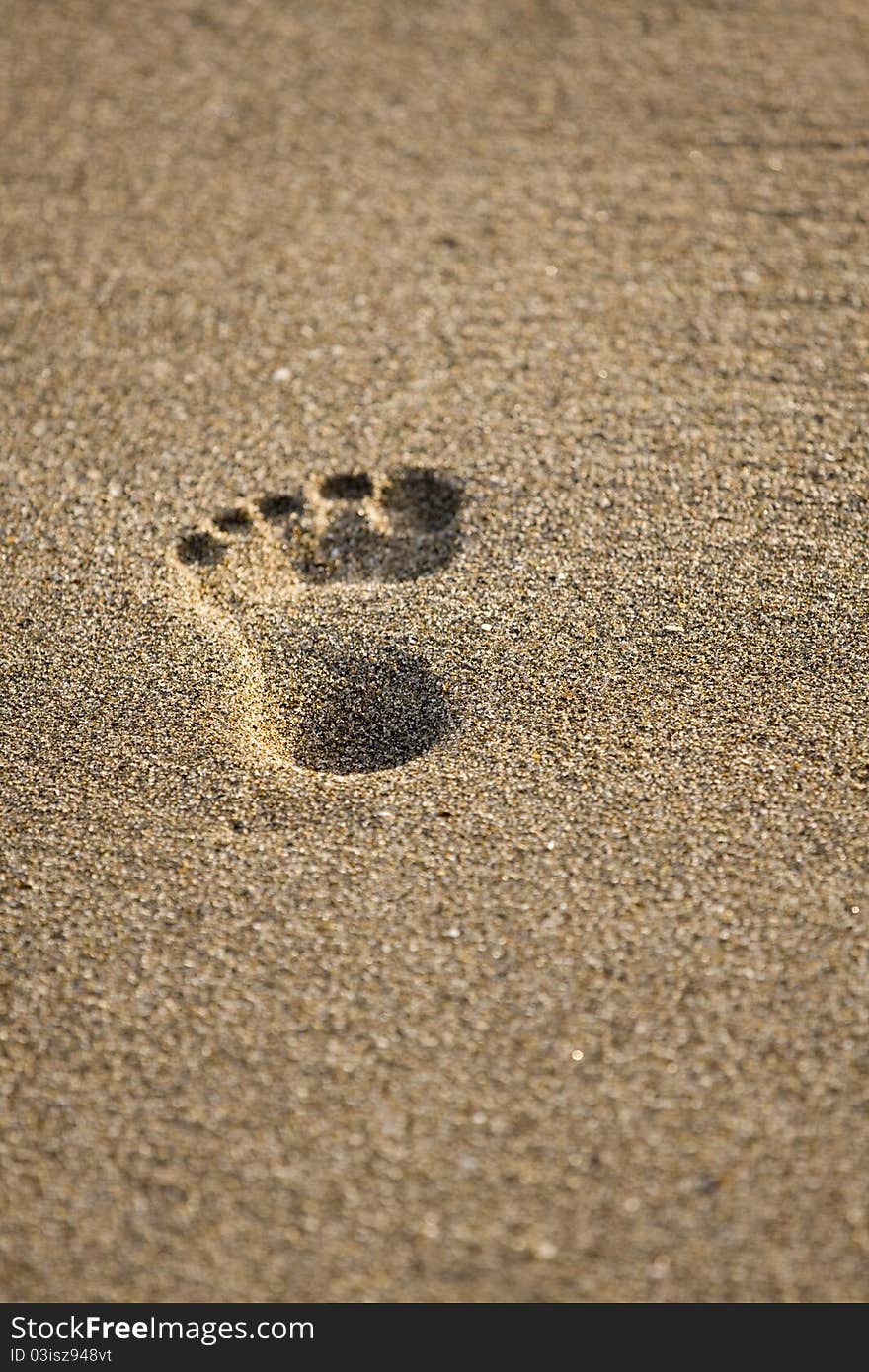 Footprints