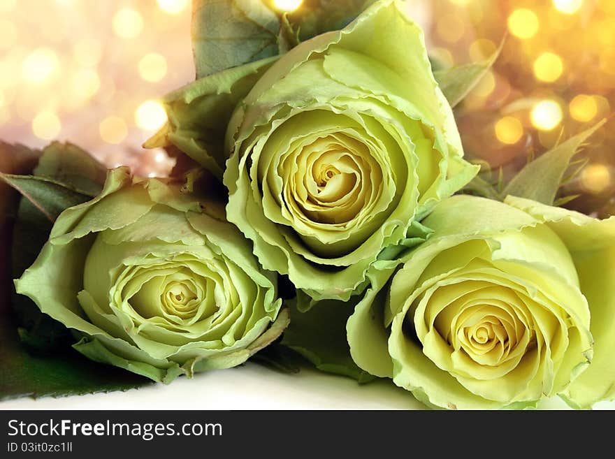 Bouquet of white roses