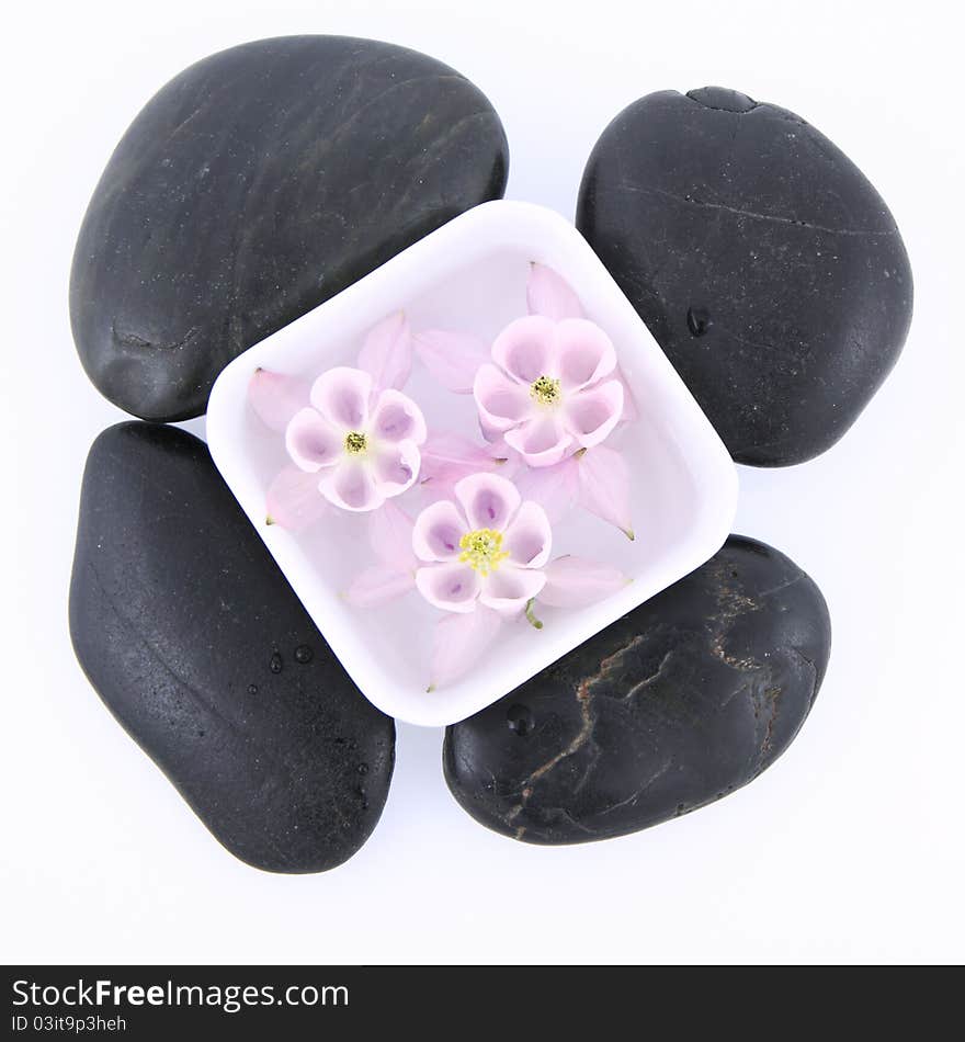 Columbine flowers floating in a bowl and spa stones on a white. Columbine flowers floating in a bowl and spa stones on a white