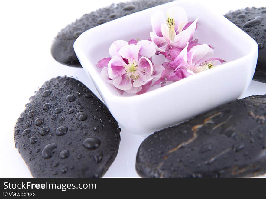 Columbine flowers floating in a bowl and spa stones on a white. Columbine flowers floating in a bowl and spa stones on a white