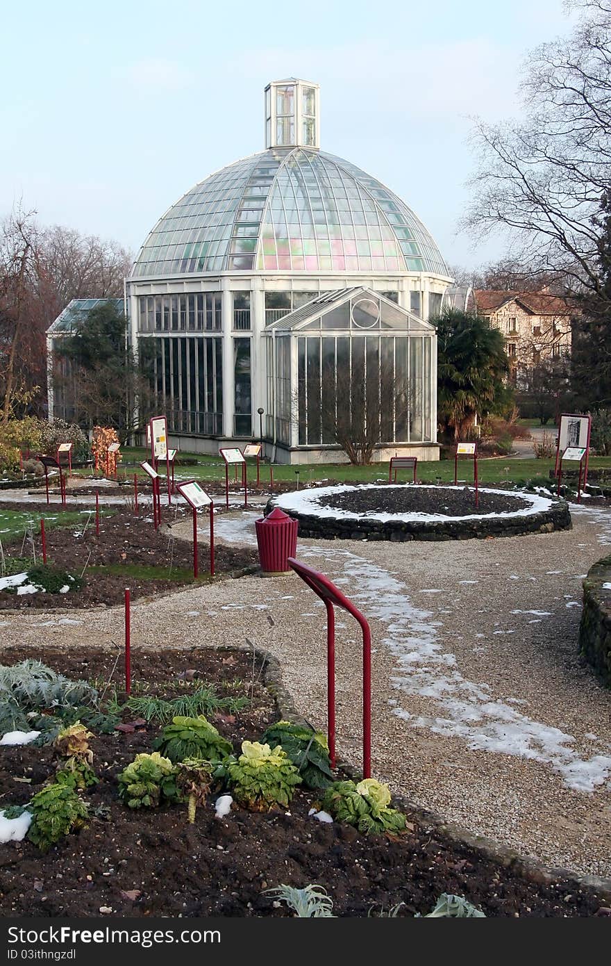 Palm house in a botanical garden at winter.