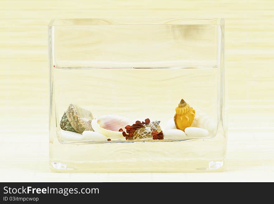 Squared decorative vase as a table decoration with shells and pebbles. Squared decorative vase as a table decoration with shells and pebbles