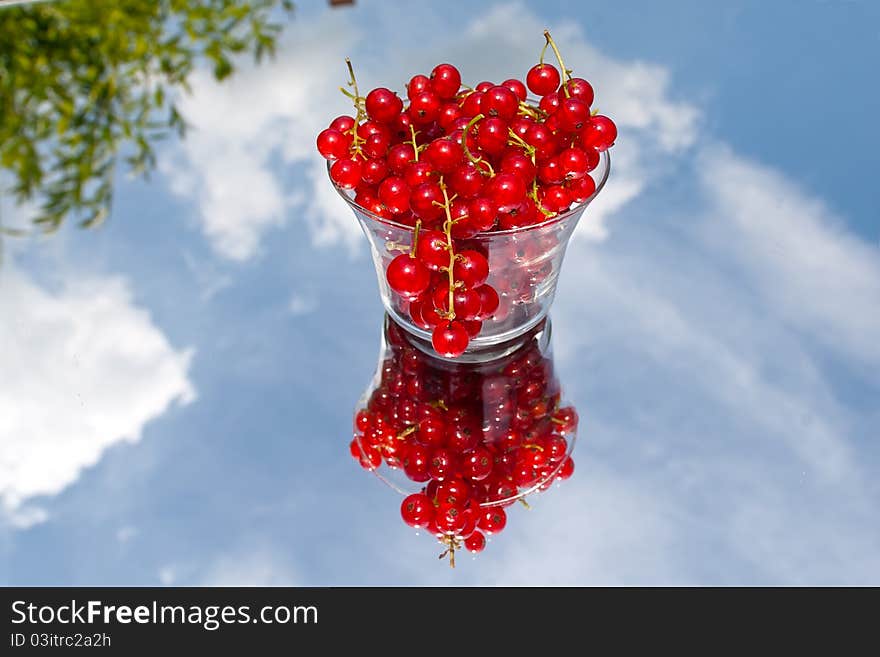 A pile of red currant