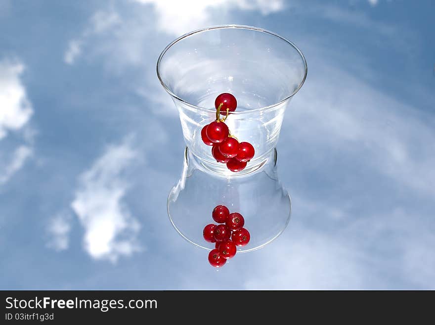 Red Currant Still Life