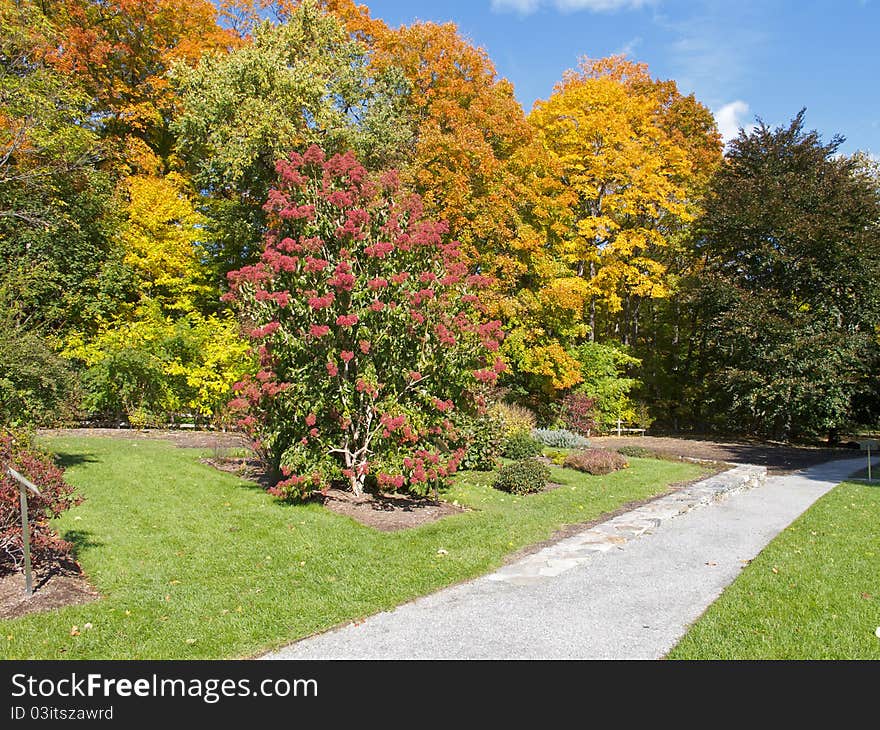 Public Garden In Fall