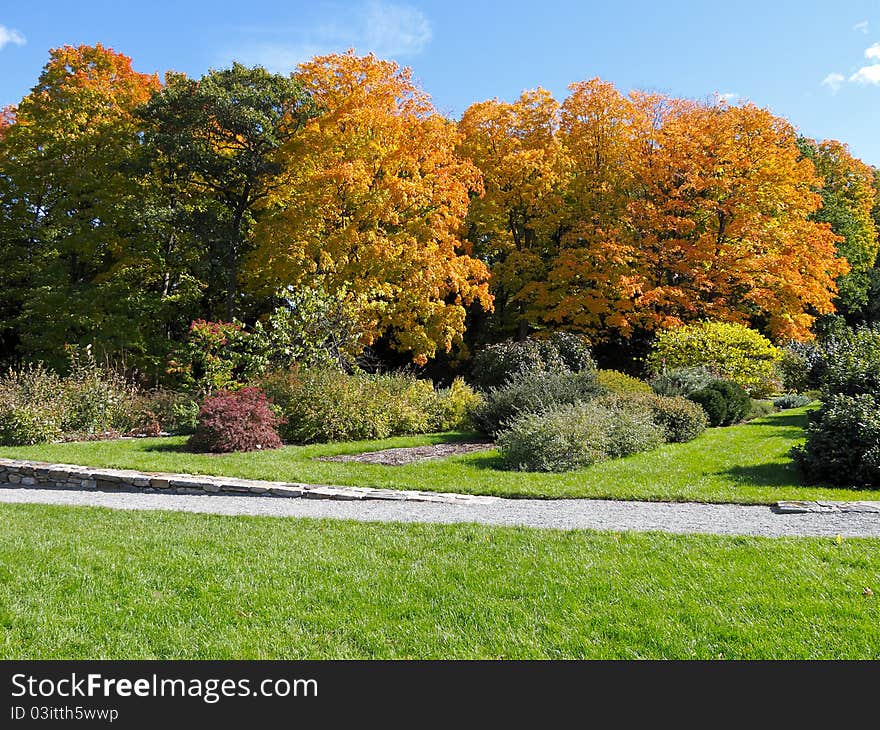 Public garden in fall