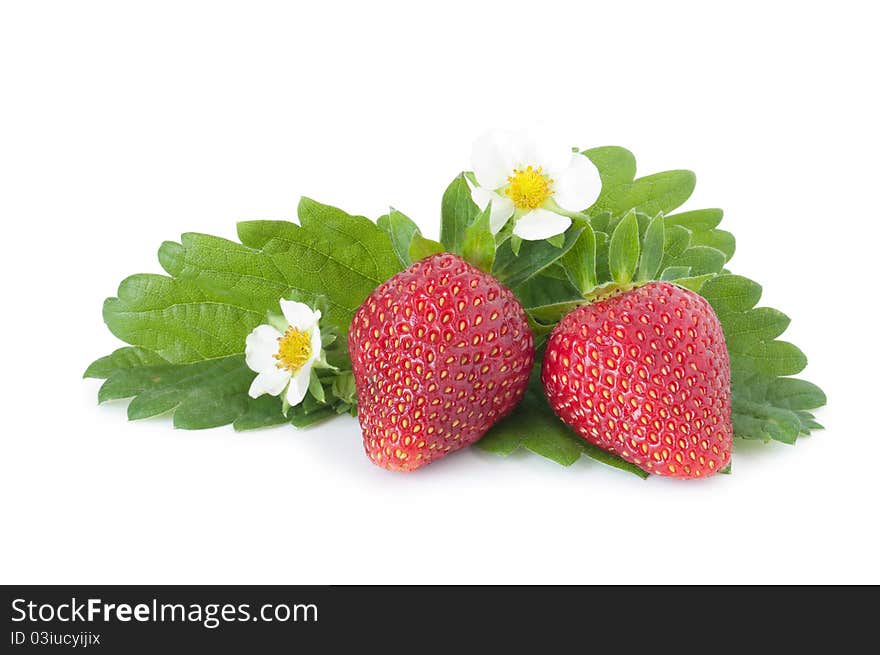 Strawberry with leafs