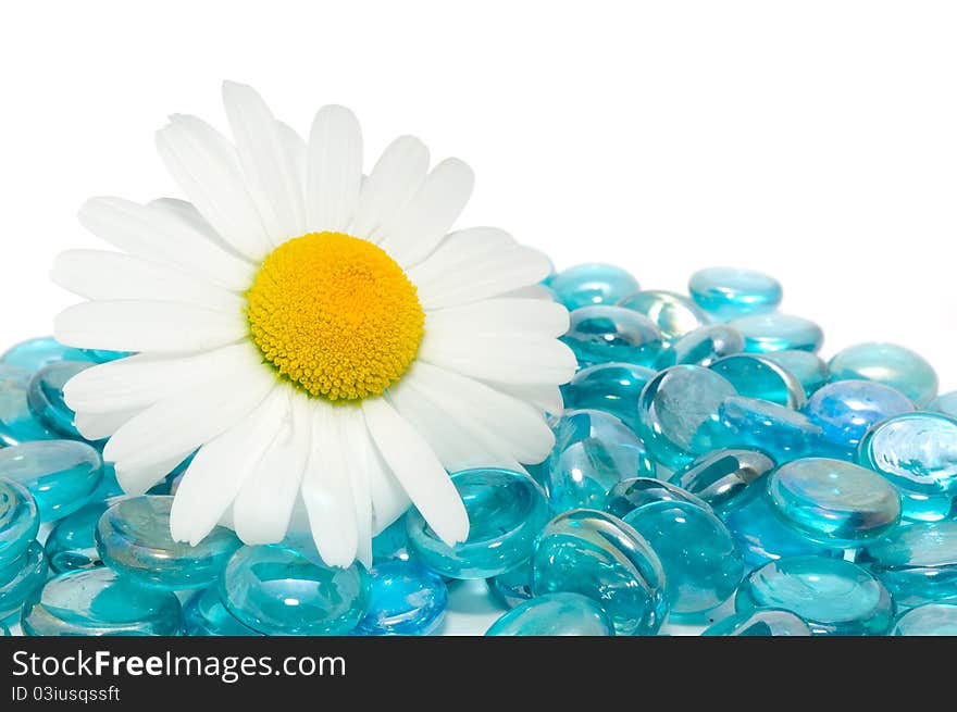 Daisy on Blue Glass Stones