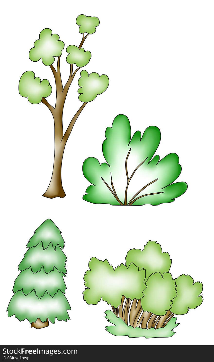 Trees and shrubs.