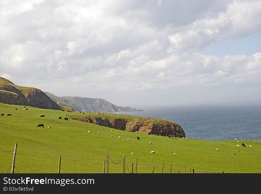 Farmland on the scottish coast