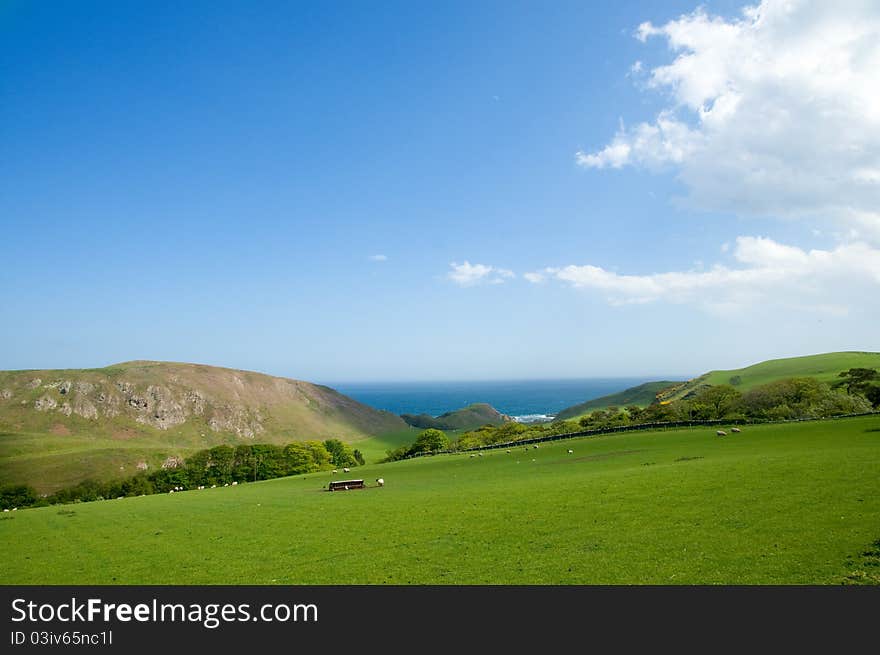 Green cliffs and coast