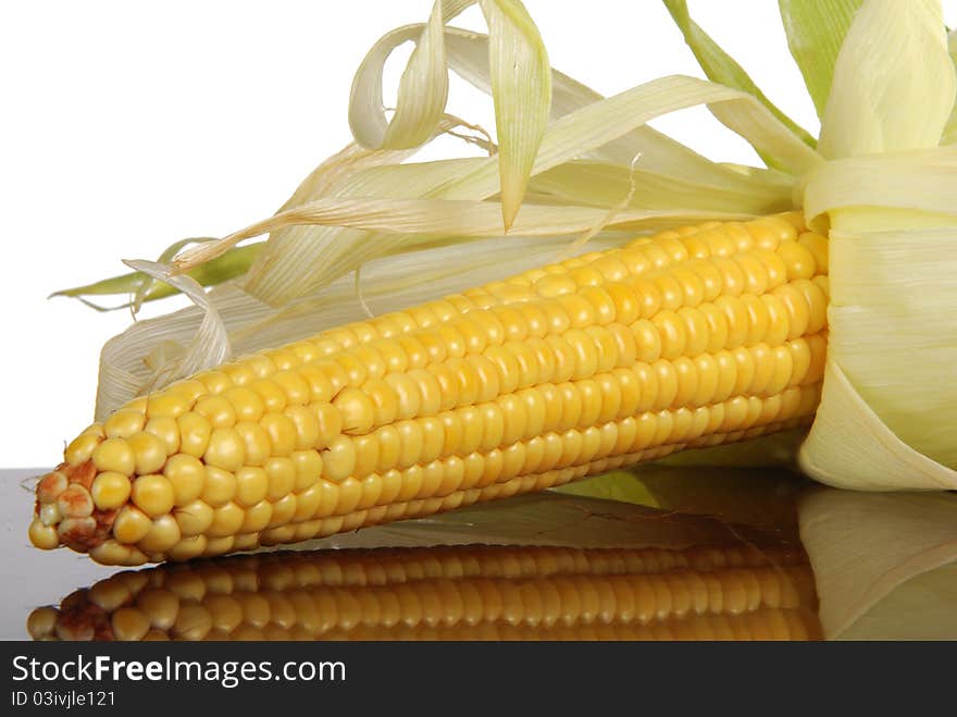 Corn cob on table. Close-up