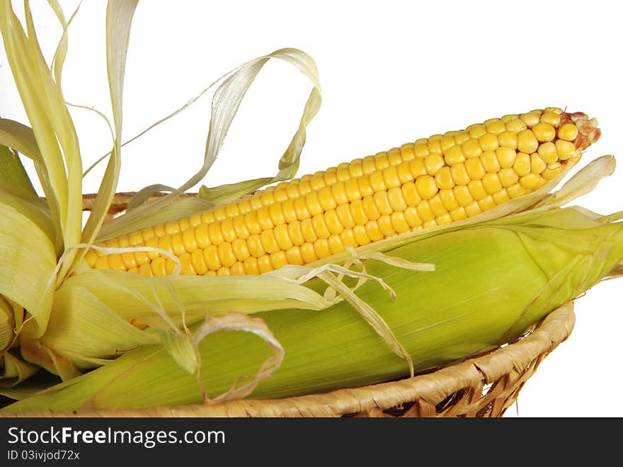 Corn cobs in basket. Isolated