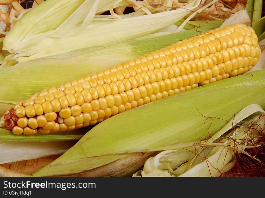 Group of corn cobs on table. Group of corn cobs on table.