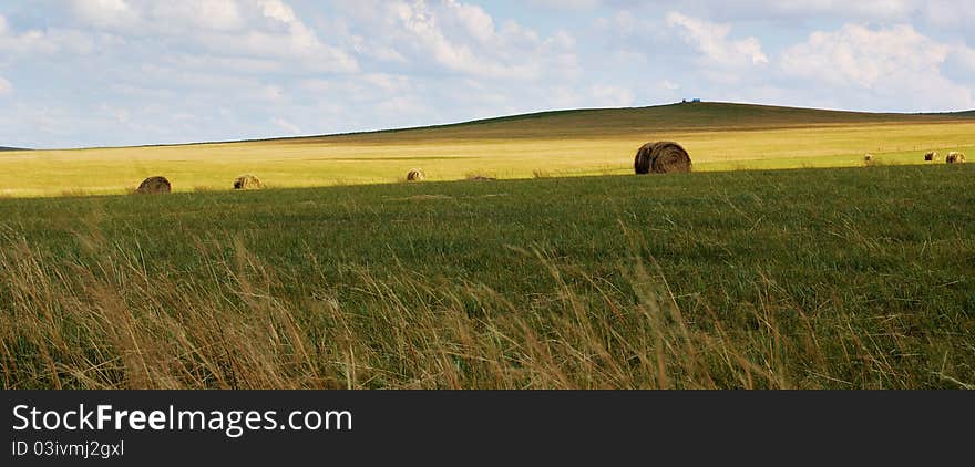 Hulun Buir Grassland in Inner Mongolia, it's autum time.