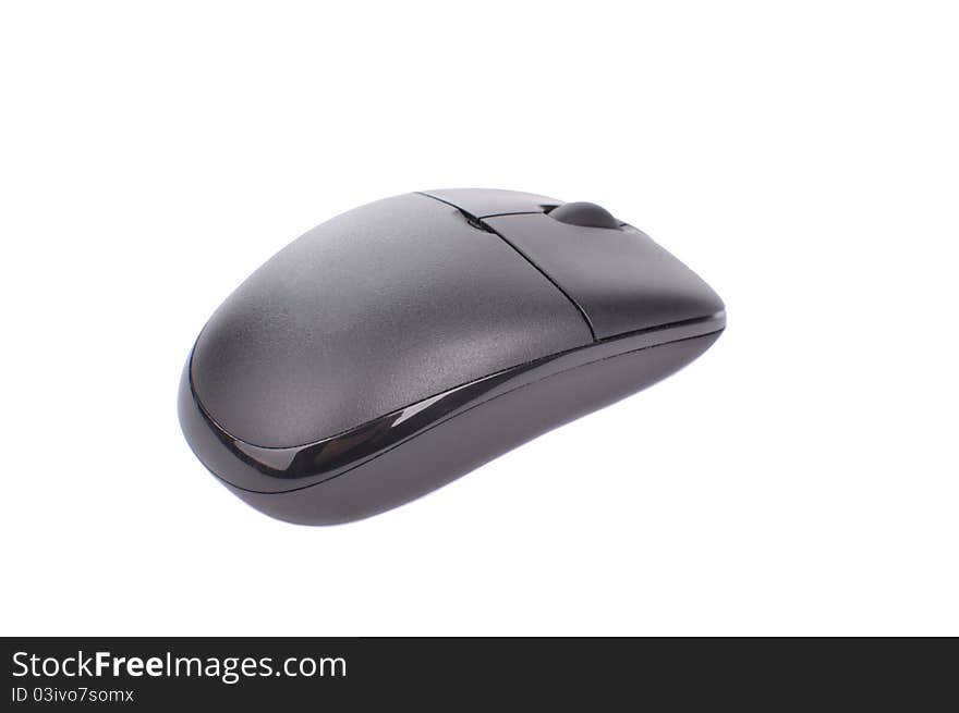 Computer Mouse