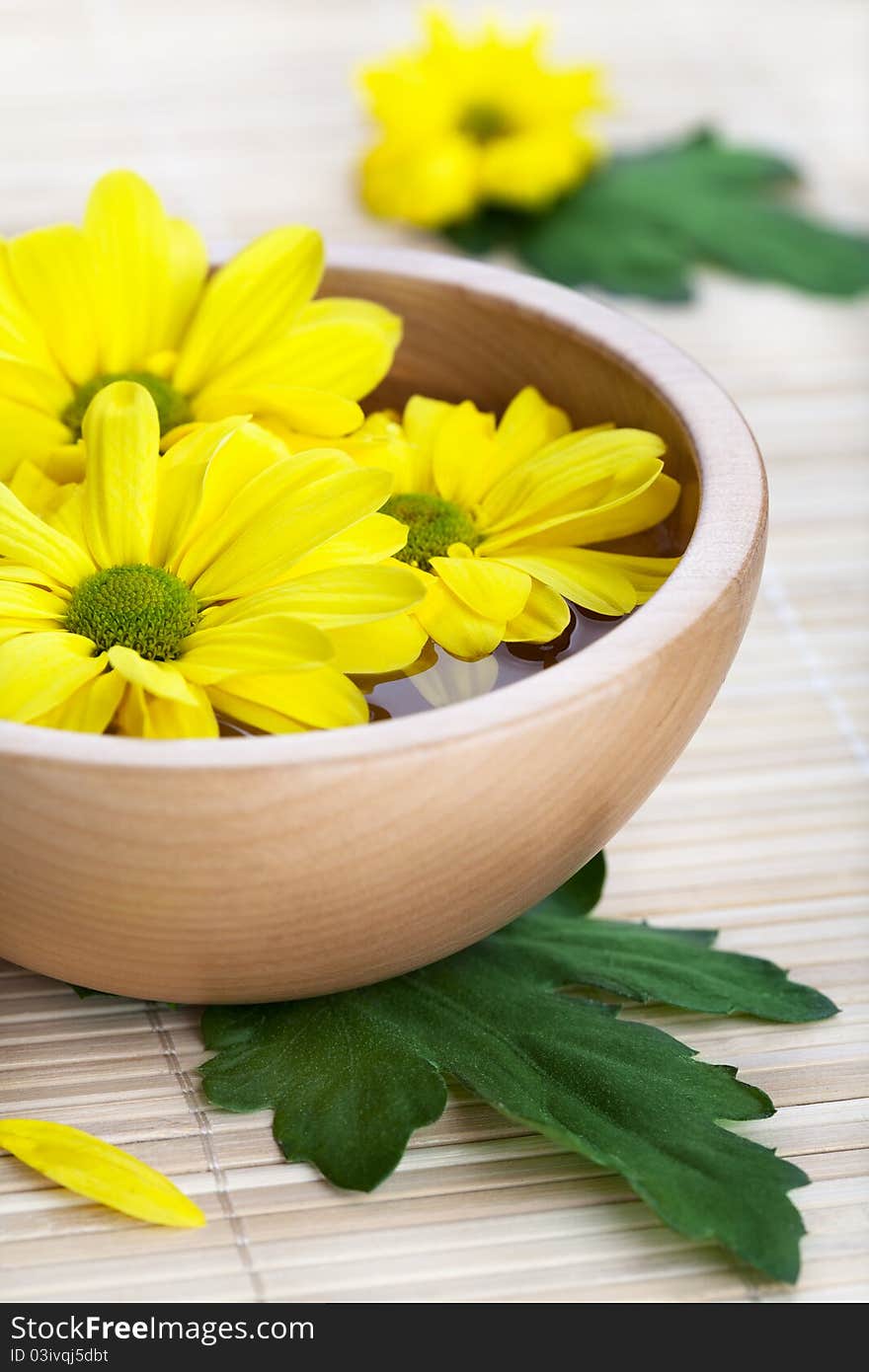 Yellow daisies in wooden bowl. Spa theme. Yellow daisies in wooden bowl. Spa theme