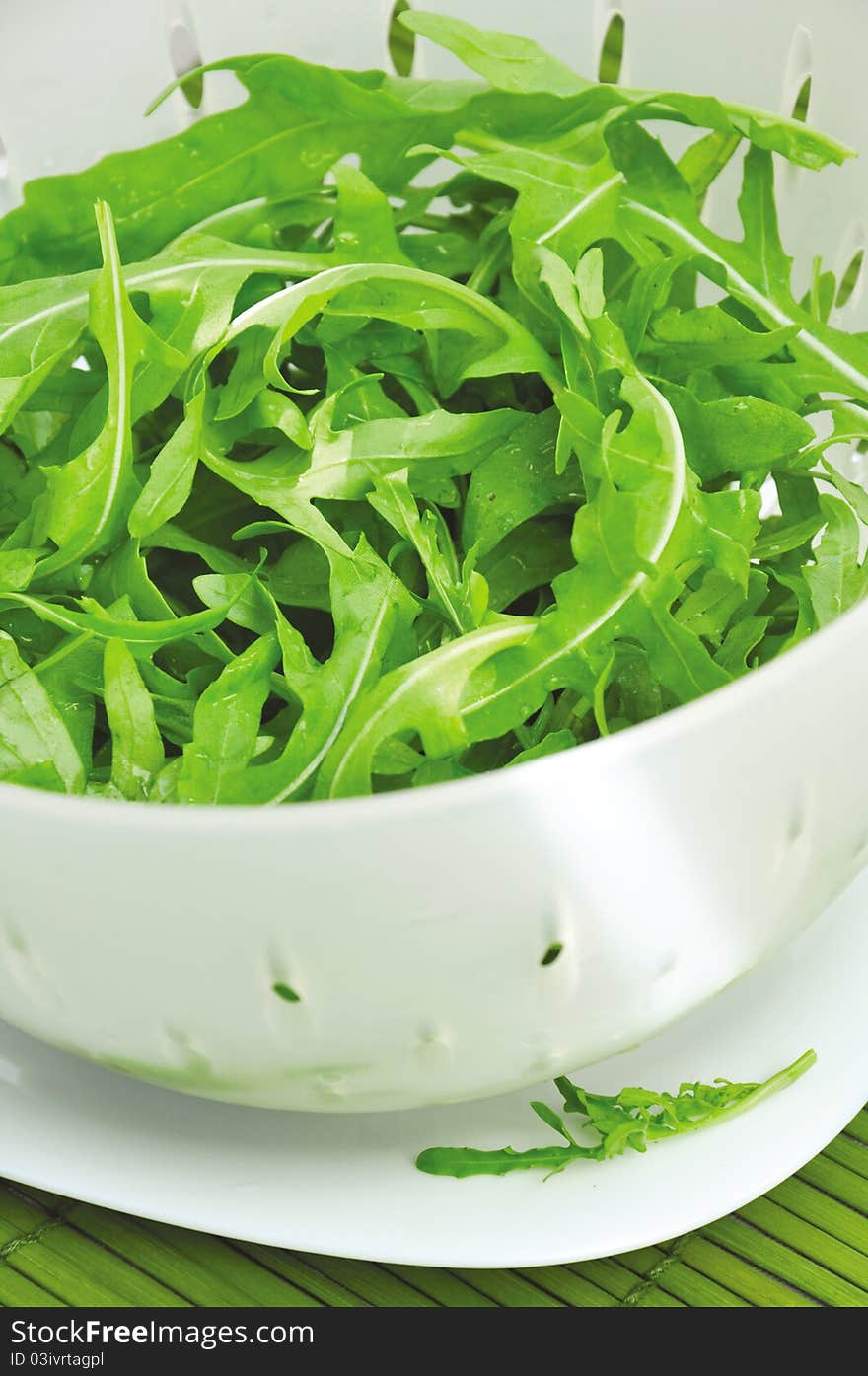 Rucola