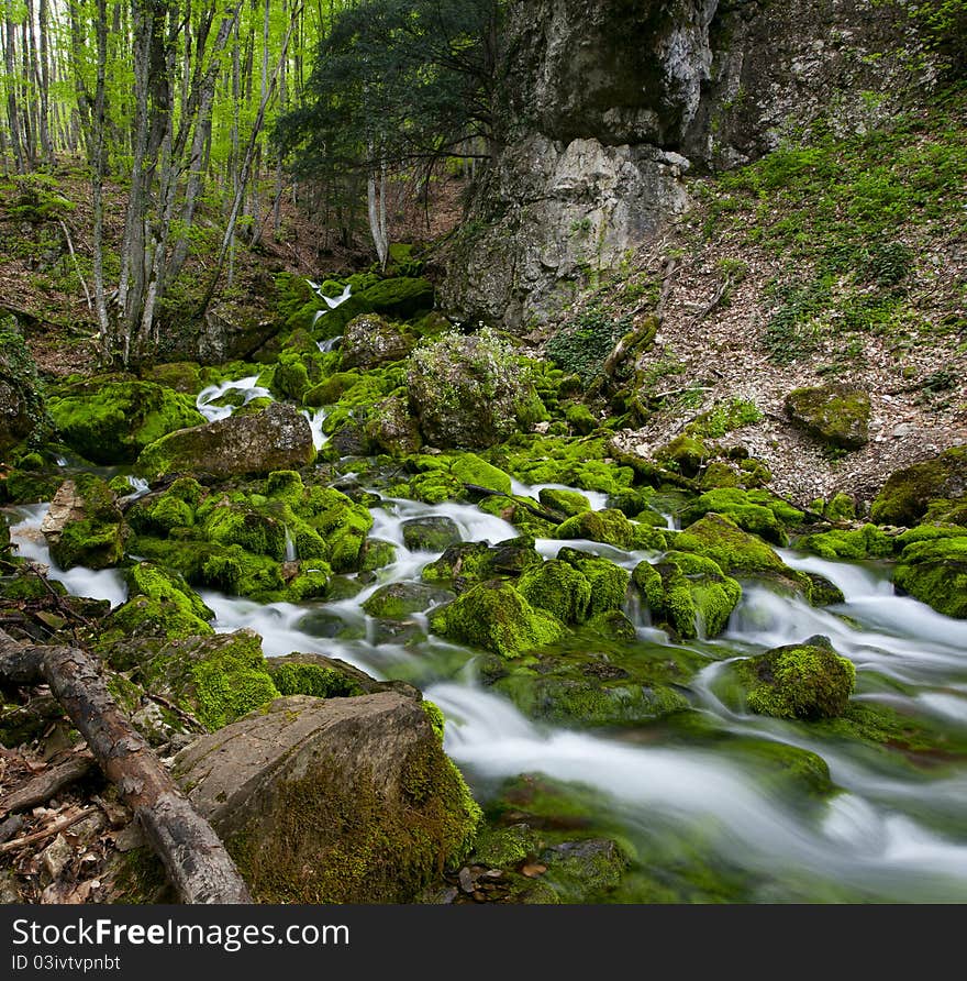 Green stream with stones covered by moss