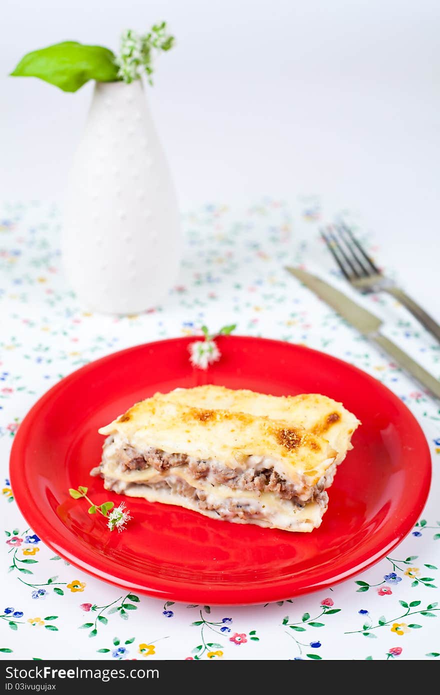 Closeup shot of lasagna bolognese