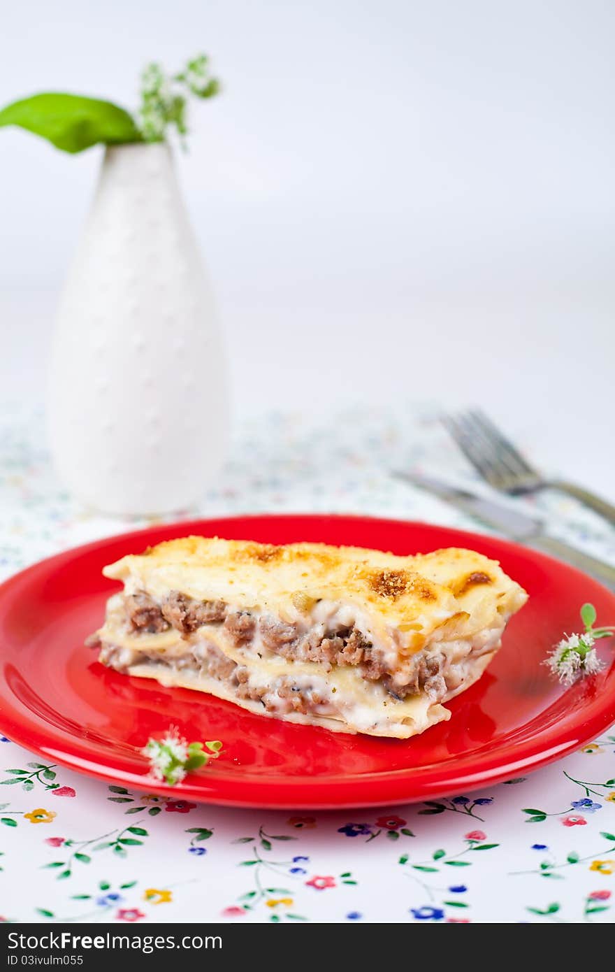 Closeup shot of lasagna bolognese