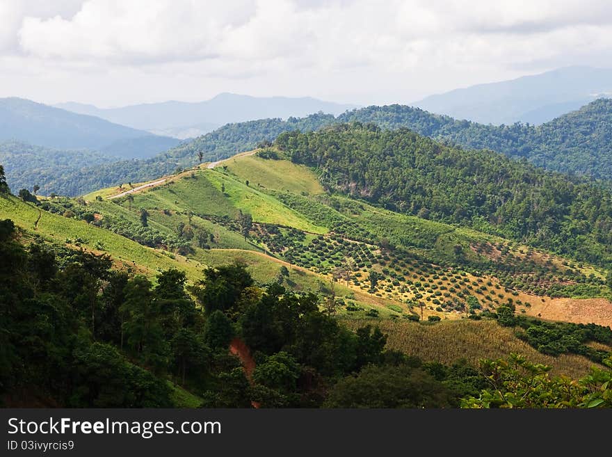 Landscape of mountain in north of Thailand