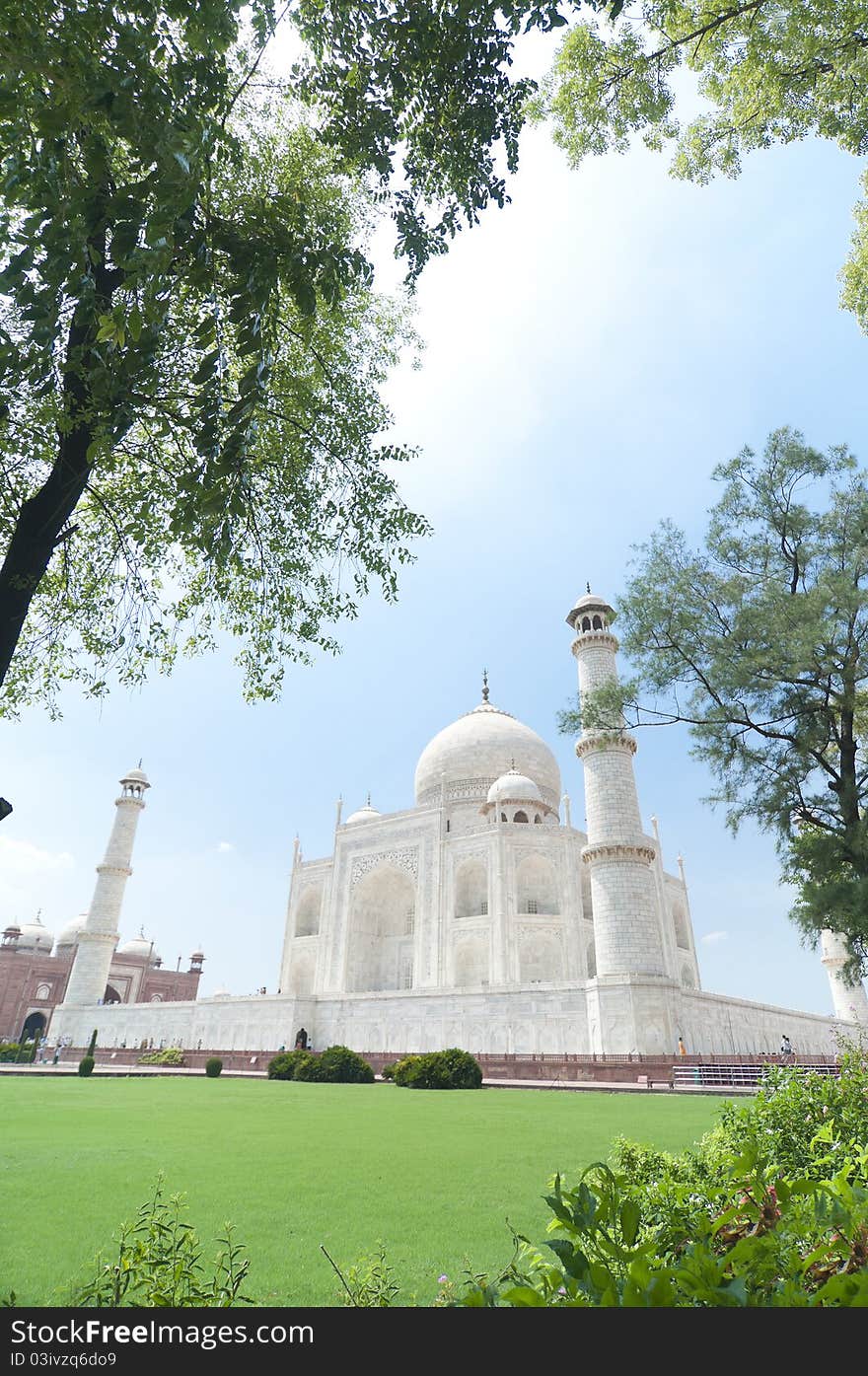 Taj Mahal between trees in Agra, India. (portrait orientation)