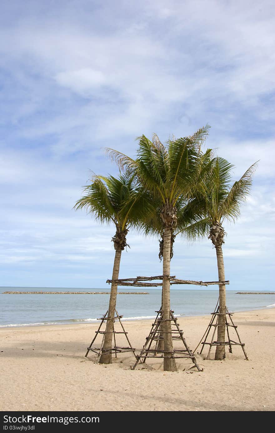 Tropical beach with coconut palm ,Chao Samran Beach. thailand. Tropical beach with coconut palm ,Chao Samran Beach. thailand